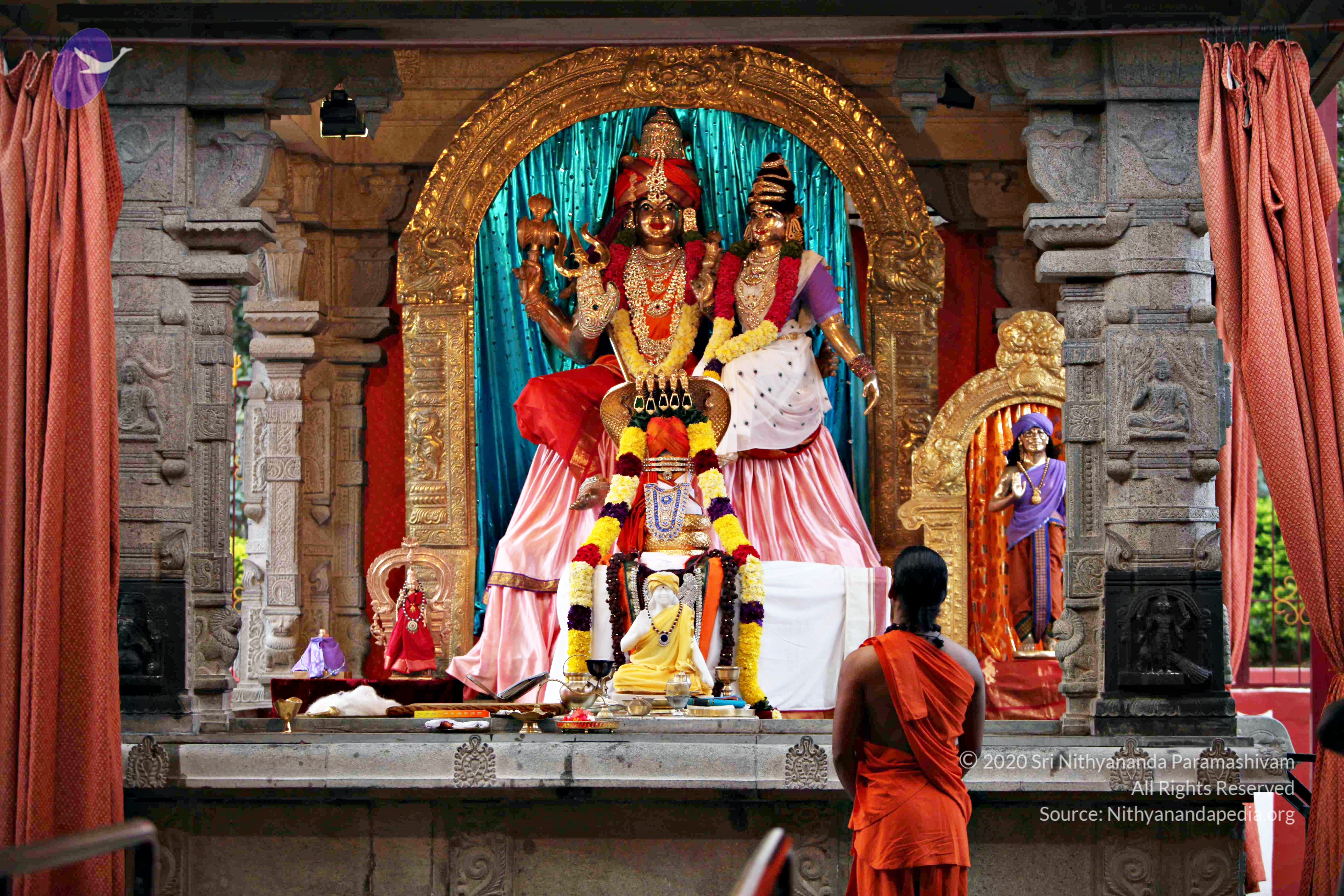 20110225_Photo_1011_IMG_0800_CMP_WM